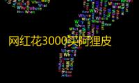 网红花3000买阿狸皮肤 英雄联盟官方汗颜